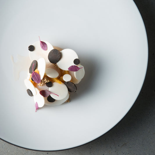 EQUINOXE 28cm PLATE - CUMULUS WHITE - 6PK